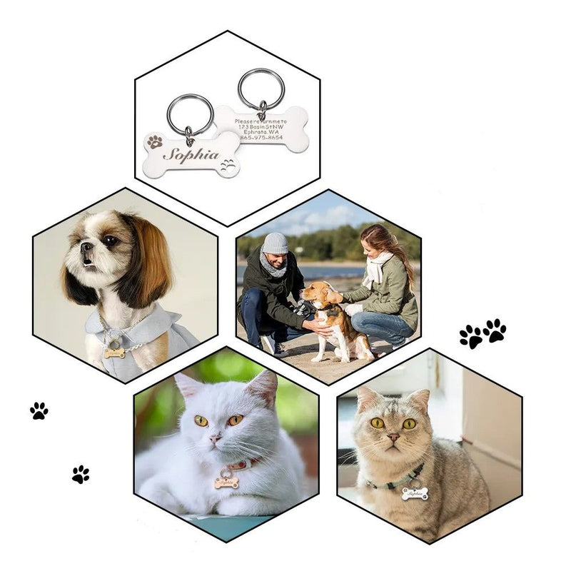 Colar de nome do pet de estimação personalizado